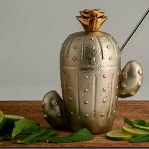 x2 BNIB Thirstystone Cactus Brushed Stainless Stell Tumblers